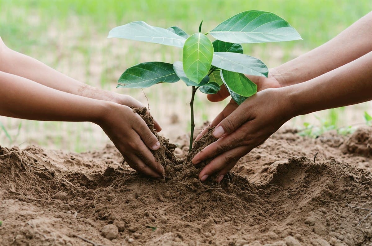 CLIMATE FINANCE